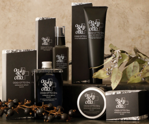 oggi otto Drsシリーズ